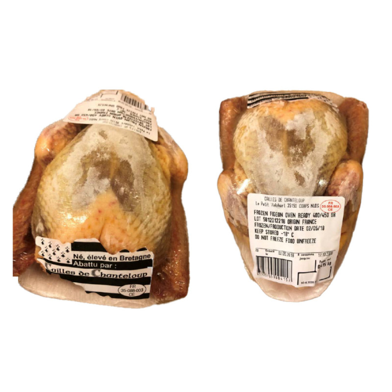 Frozen Pigeon, O/R, Head Off   法國急凍去頭鴿  Caille De Chanteloup