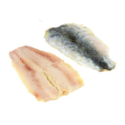 Frozen Sardine Fillet 急凍沙丁魚魚片  Selected By Cff