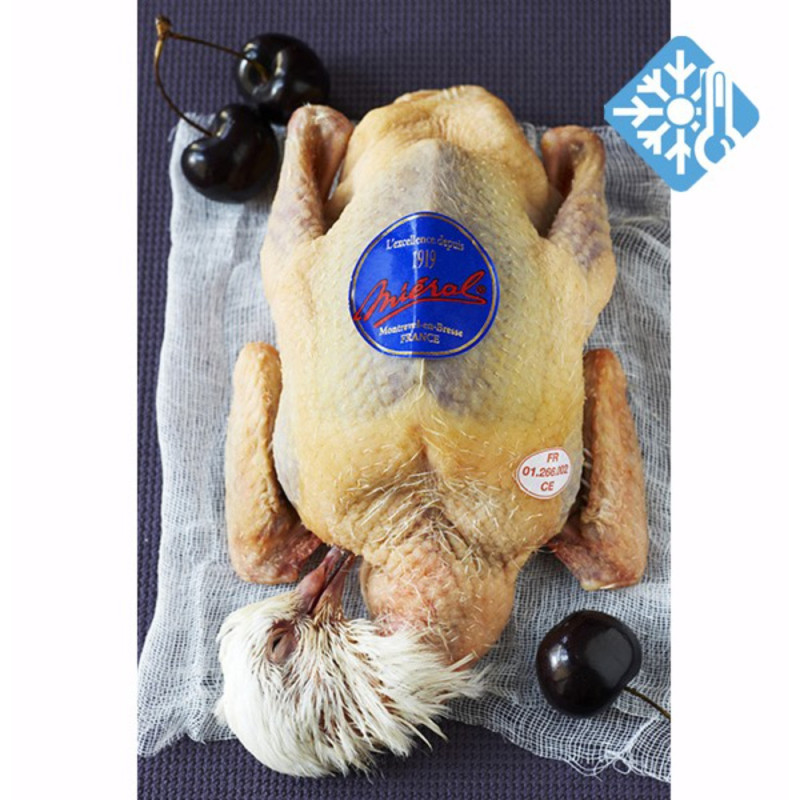 Frozen Squab Pigeon Excellence 急凍法國鴿