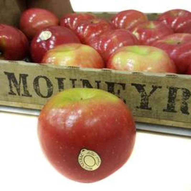 Chilled Fuji Apple  Cal 201/240    富士蘋果  Mouneyrac