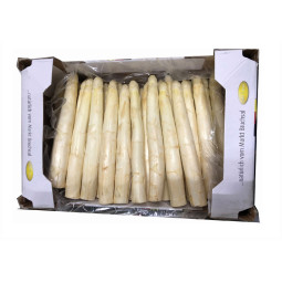 White Asparagus (Germany) - CAL 25/30