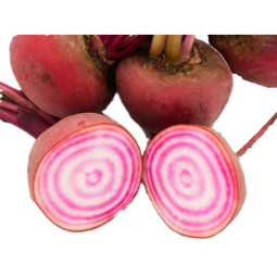 Chilled Candy Beetroot Metro    紅菜頭  Metro Chef