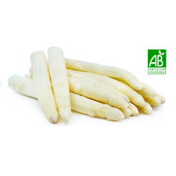 Organic White Asparagus - cal 22+