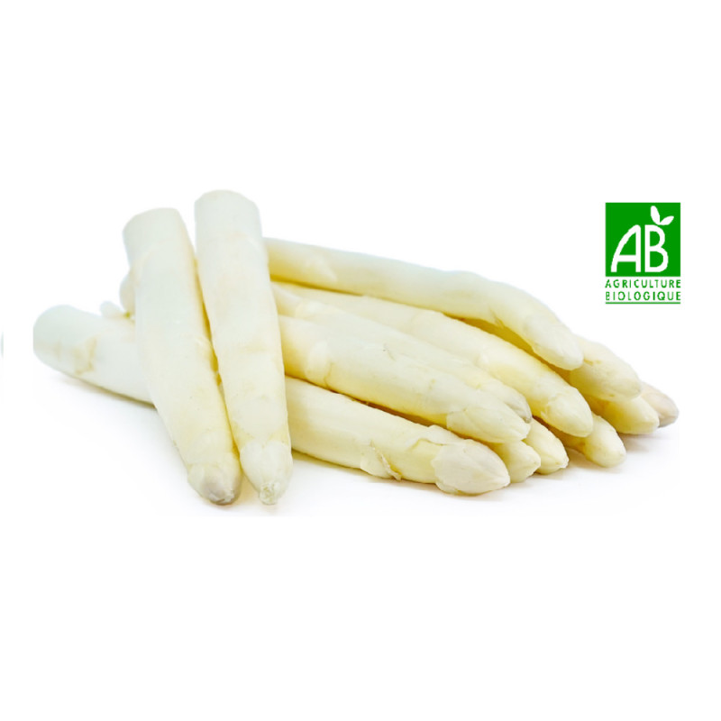Organic White Asparagus - cal 22+