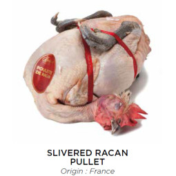 Chilled Racan Young Chicken Female 法國小母雞  Bellorr