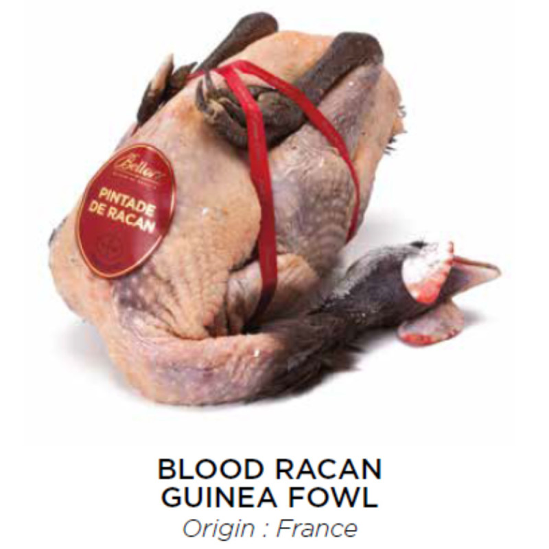 Chilled Racan Guinea Fowl 法國珍珠雞  Bellorr