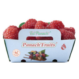 Chilled Raspberry Tulameen Panach'     紅桑子  Panach Fruit