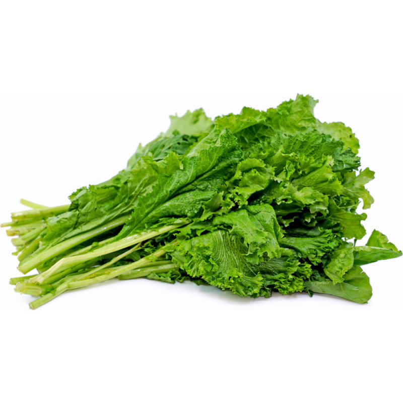 Chilled Salad  Mustard Salad Leaves    芥末葉沙律  Selected By Cff