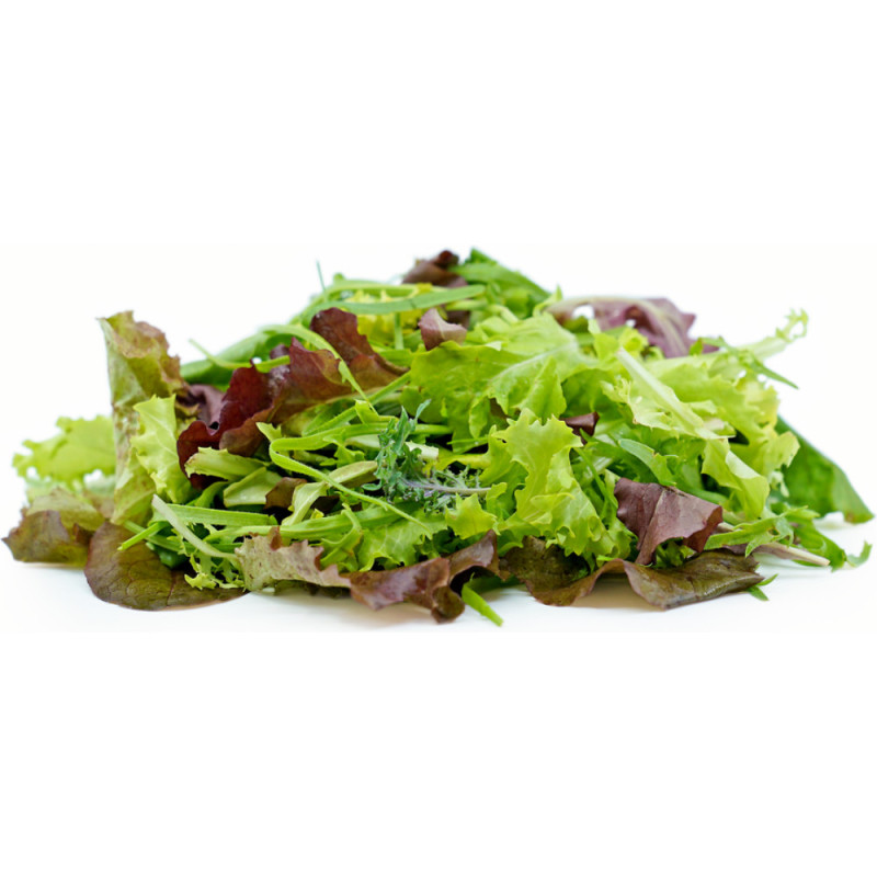 Chilled Salad  Young Leaves Mixed Mesclun    沙律雜菜葉  Selected By Cff