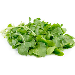 Chilled Salad  Aragula (Roquette)    火箭菜沙律  Selected By Cff