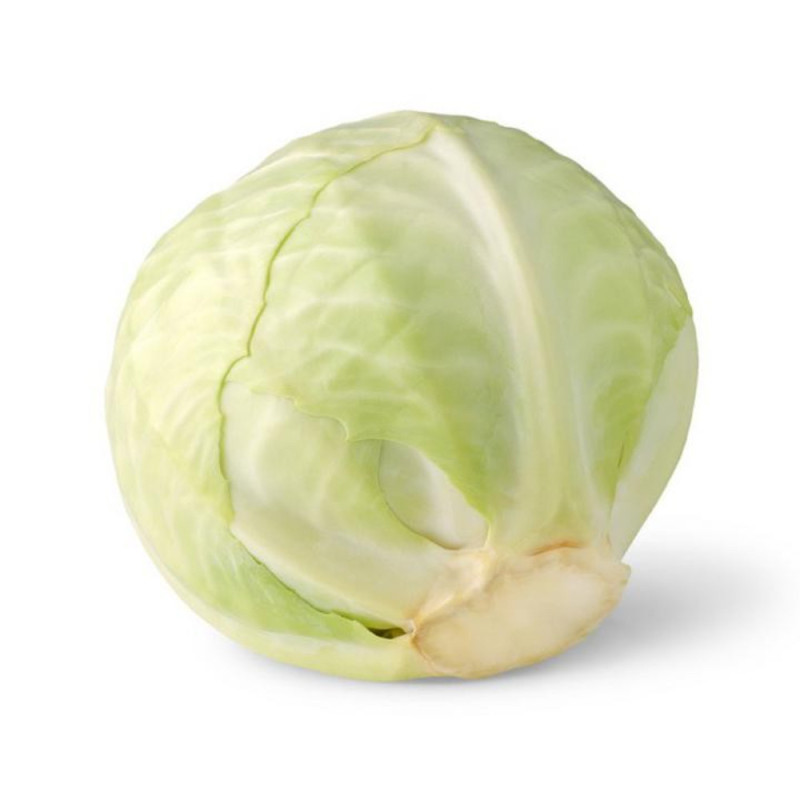 Chilled Cabeae  White Metro    小白菜  Metro Chef