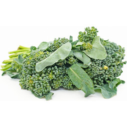 Broccolini