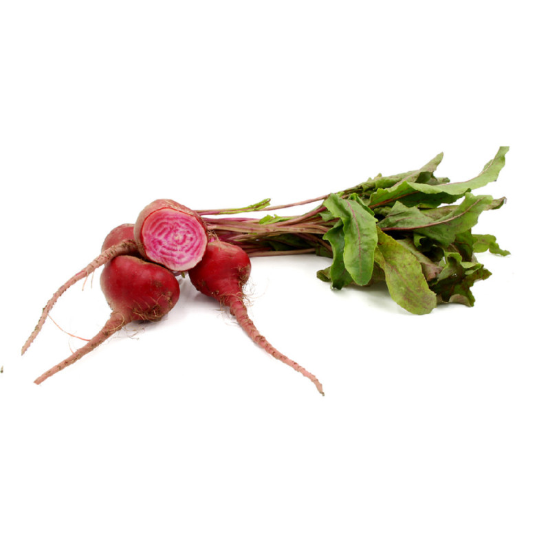 Chilled Baby Chioggia Beetroot     螺紋菜頭仔  Selected By Cff