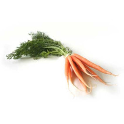Chilled Baby Carrot     甘筍仔  Selected By Cff