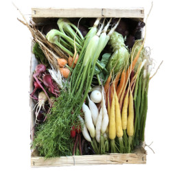 Chilled Baby Vegetables Selection  雜菜仔 Le Jardin Des Roys