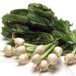 Chilled Baby White Beetroot   白紅菜頭  Selected By Cff