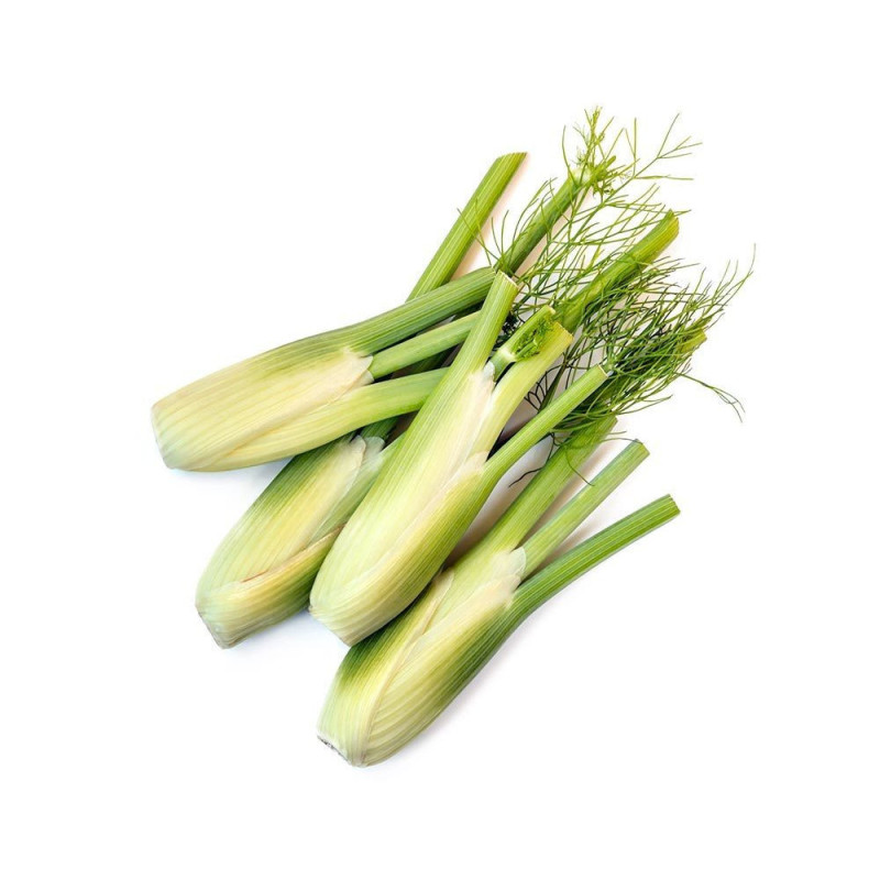Chilled Baby Fennel   茴香仔  Selected By Cff