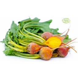 Baby Beetroot Yellow