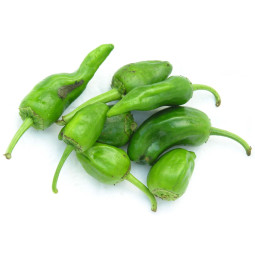 Chilled Padrone Pepper    西班牙帕德龙辣椒  Selected By Cff