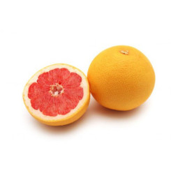 Grapefruit Rose Florida