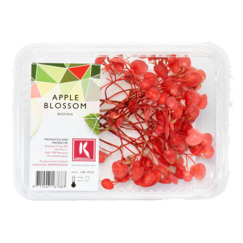 Chilled Cress  Apple Blossom Cat 1 蘋果花  Koppert Cress