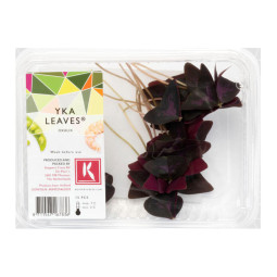 Yka Leaves  Koppert Cress