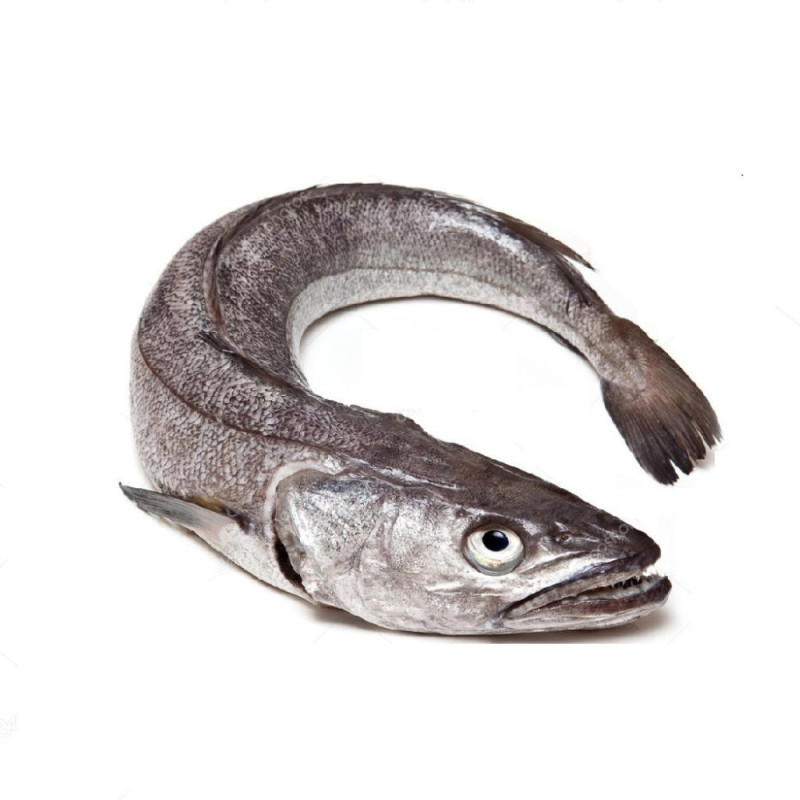 Hake whole 狗鱈