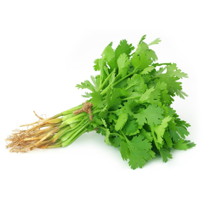 Chilled Herb  Coriander    芫荽  Selected By Cff
