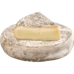 Chilled Cheese  St Nectaire Aop   法國aop聖納蒂爾芝士  Les Freres Marchand
