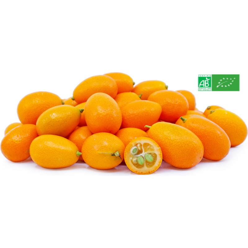 Kumquat Long