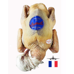 Chilled Squb Pigeons Excellence Mieral Oven Ready 450  Eas  法國鴿  Mieral