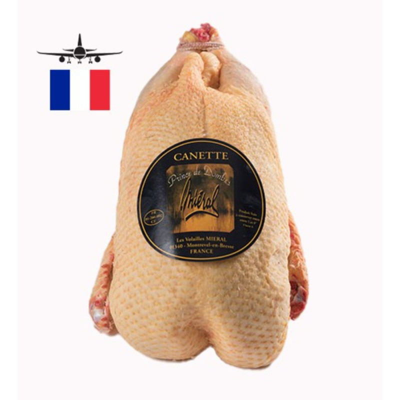 Barbarie Female Duck Prince Des Dombes O/R 法國東貝母鴨(去內臟)