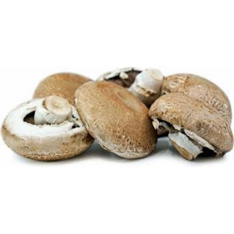 Chilled Mushroom  Portobella (Large)    新鮮8Cm原隻牛肝菌  Selected By Cff