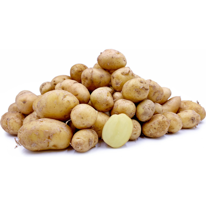 Noirmoutier CAL+405 - CAT-1