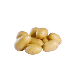 Potato   Grenaille Jazzy   Cal 40  Cat 1  Selected By Cff