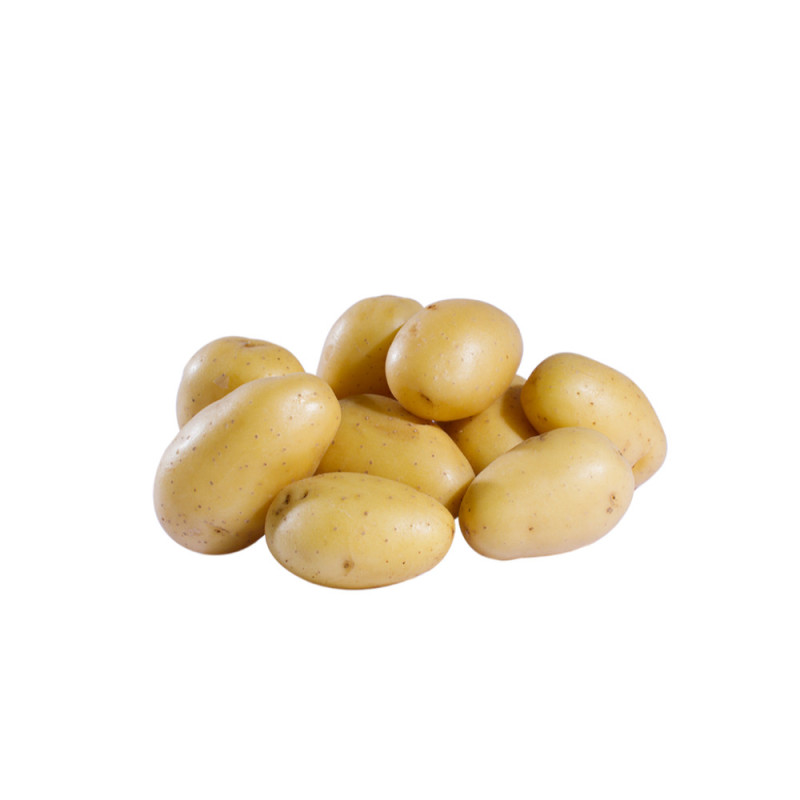 Potato   Grenaille Jazzy   Cal 40  Cat 1  Selected By Cff