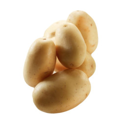 Chilled Potato  Agata  Cal 40+    馬鈴薯  Selected By Cff