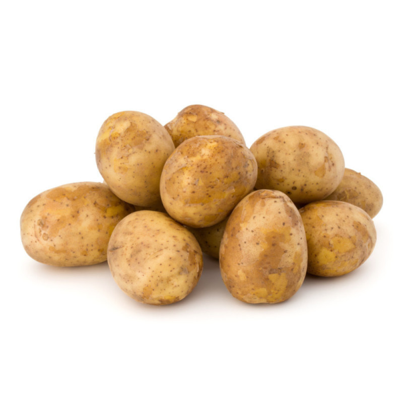 Unwashed Agria Potato Cal 75  Selected By Cff