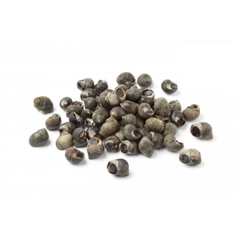 Chilled Periwinkle/Bigorneaux Jumbo Size   法國冰鮮濱螺  特大  Parcs St Kerber