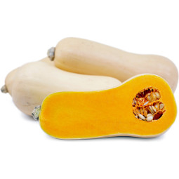 Chilled Butternut Squash    新鮮牛油南瓜  Selected By Cff