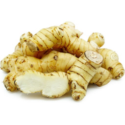 Galangal Roots