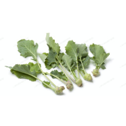 Baby kohlrabi chou rave
