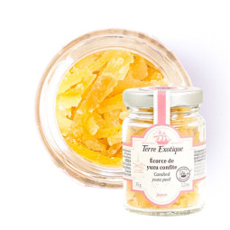 Candied Yuzu Peel 蜜餞柚子皮條  Terre Exotique
