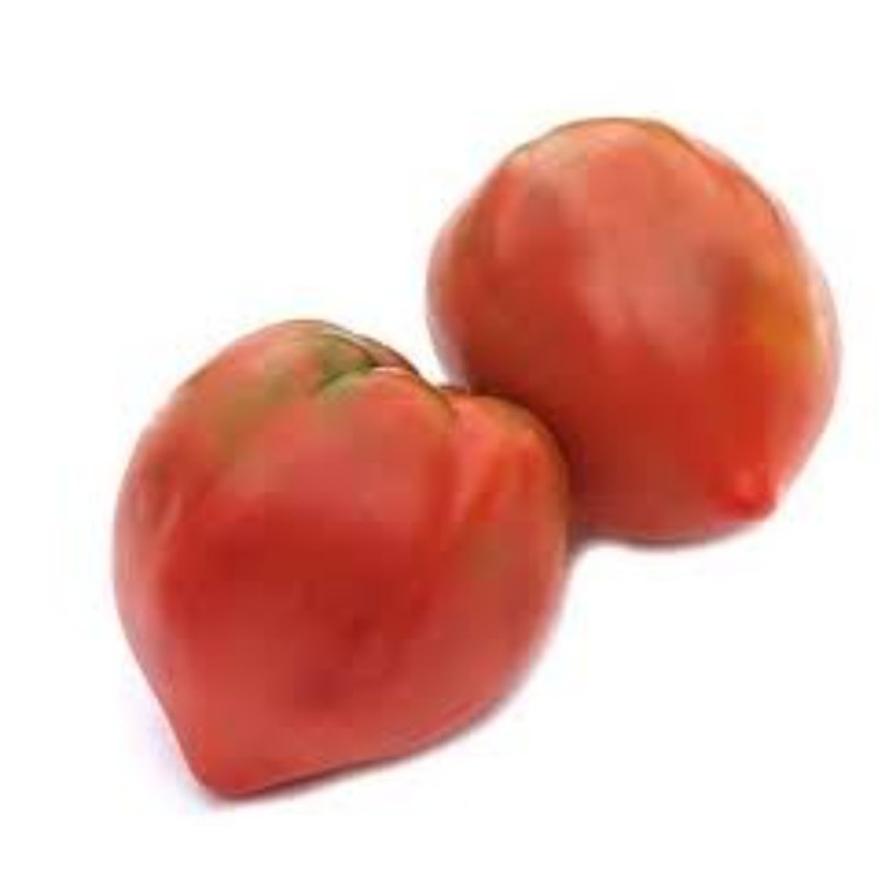 Chilled Tomatoes  Oxheart Tomato Open Soil    牛心蕃茄  Selected By Cff