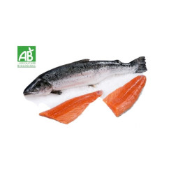 Organic Farmed Salmon三文魚(有機養殖)