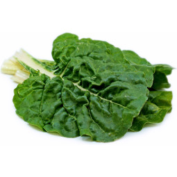 Chilled Swiss Chard Metro    瑞士甜菜  Selected By Cff