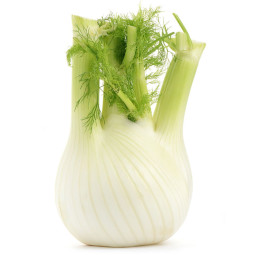 Chilled Fennel    茴香  Selected By Cff