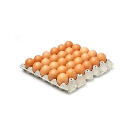Chilled Organic Free Range Egg 有機自由放養雞蛋 Kin Farms