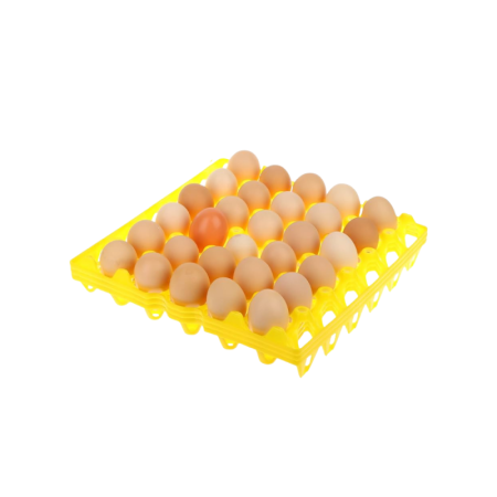 Chilled Cage Free Egg In Plastic Tray 非籠養雞蛋 (膠托) Kin Farms