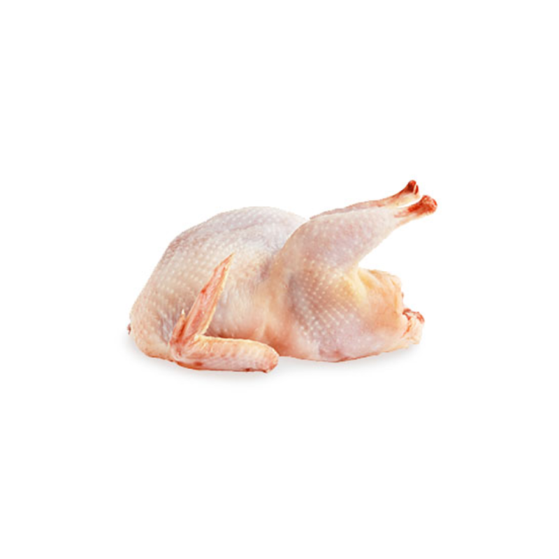 Frozen Quail, O/R, Head Off  法國急凍去頭鵪鶉  Caille De Chanteloup